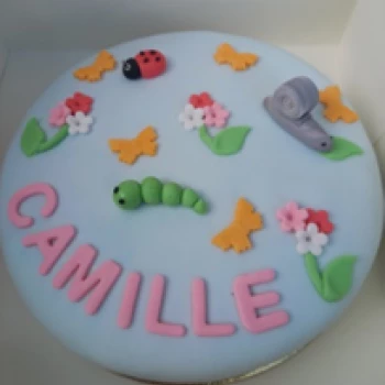 À mi'mot vous propose une organisation d'anniversaire en Lorraine. L'association envisage et réfléchi chaque gateau comme celui mis en photo.