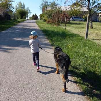 Différents thèmes seront abordés, (marche en laisse, jeux avec le chien, métiers autour du chien, ramassage des déjections..), l'association À mi'mot vous sensibilise aux morsures du chien.